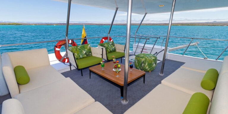Al Fresco Social Area Galaxy Orion Galapagos Yacht Galapagos Islands