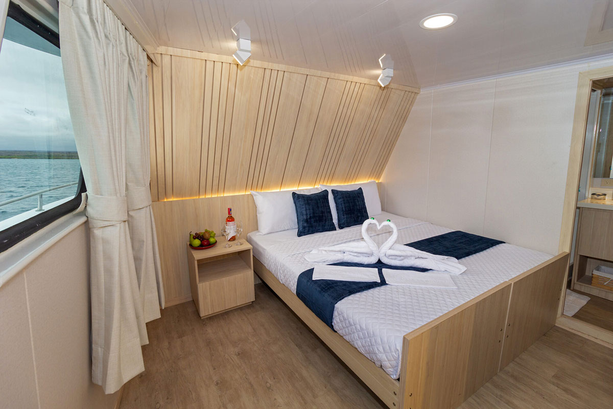 Cabin 5 Galaxy Orion Galapagos Yacht Galapagos Islands
