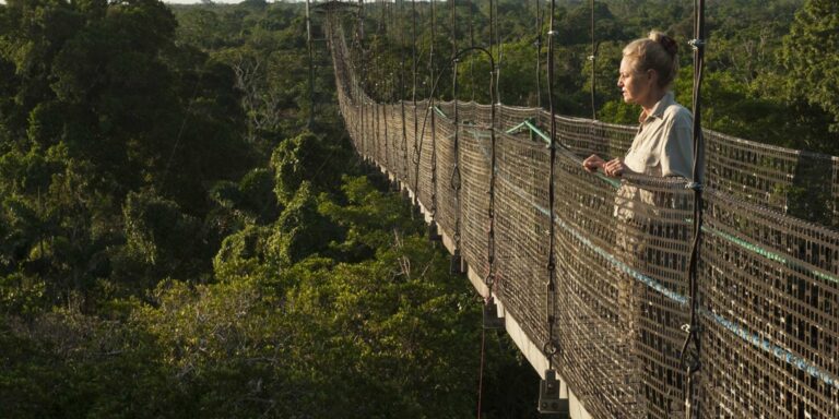 Canopy Walk Sacha Lodge Ecuador
