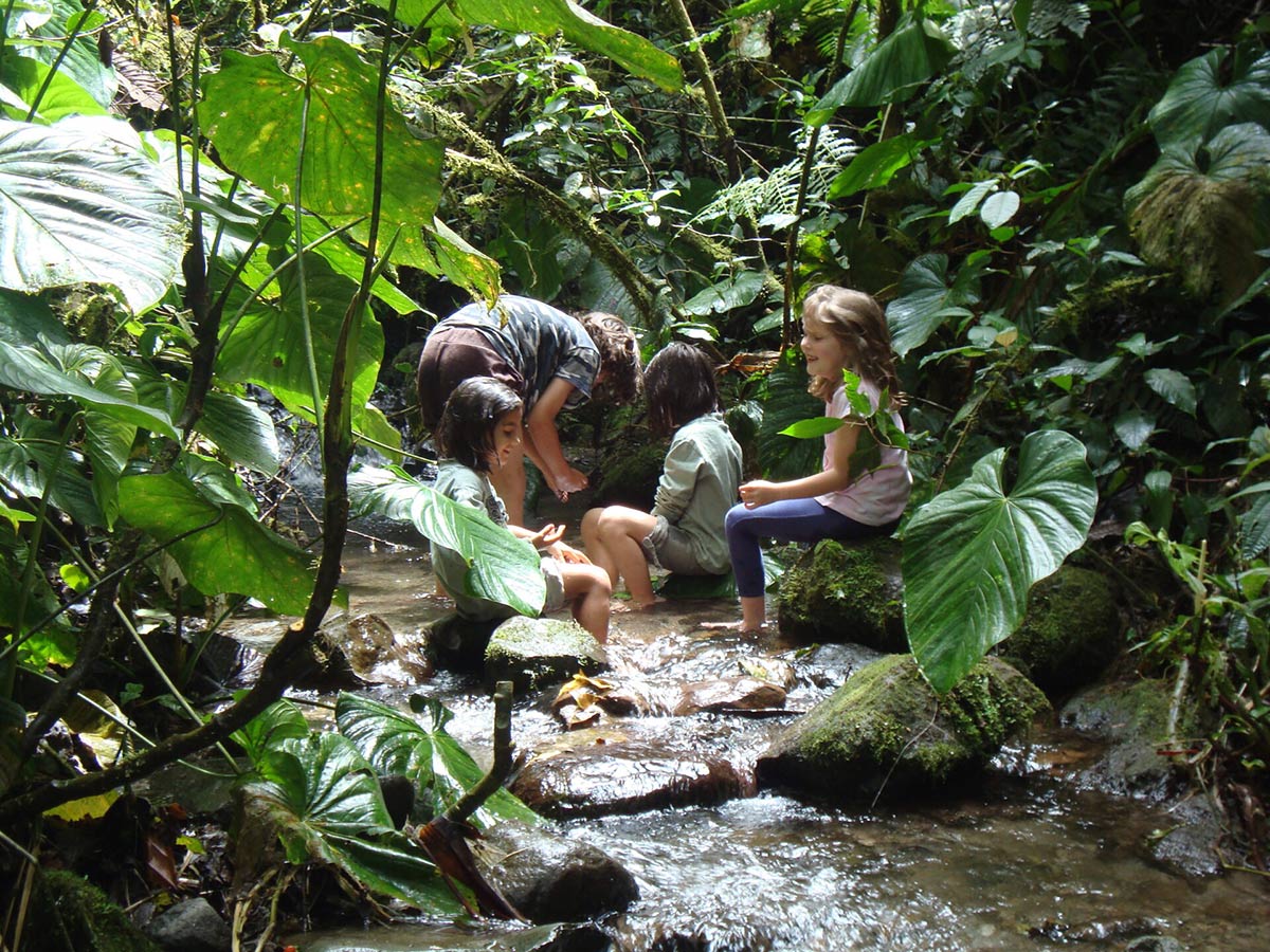 Children Playing In Cloud Forest Ecuador