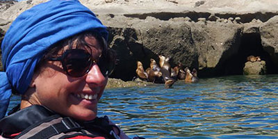 Kayak With Sea Lion Colony Peninsula Valdes Argentina