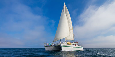 Nemo 2 Sailing Galapagos