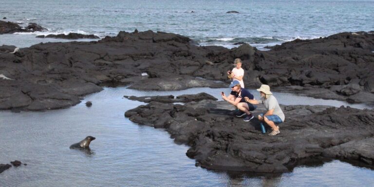 Galapagos Sea Lion And People Galaxy Orion Galapagos Yacht Galapagos Islands