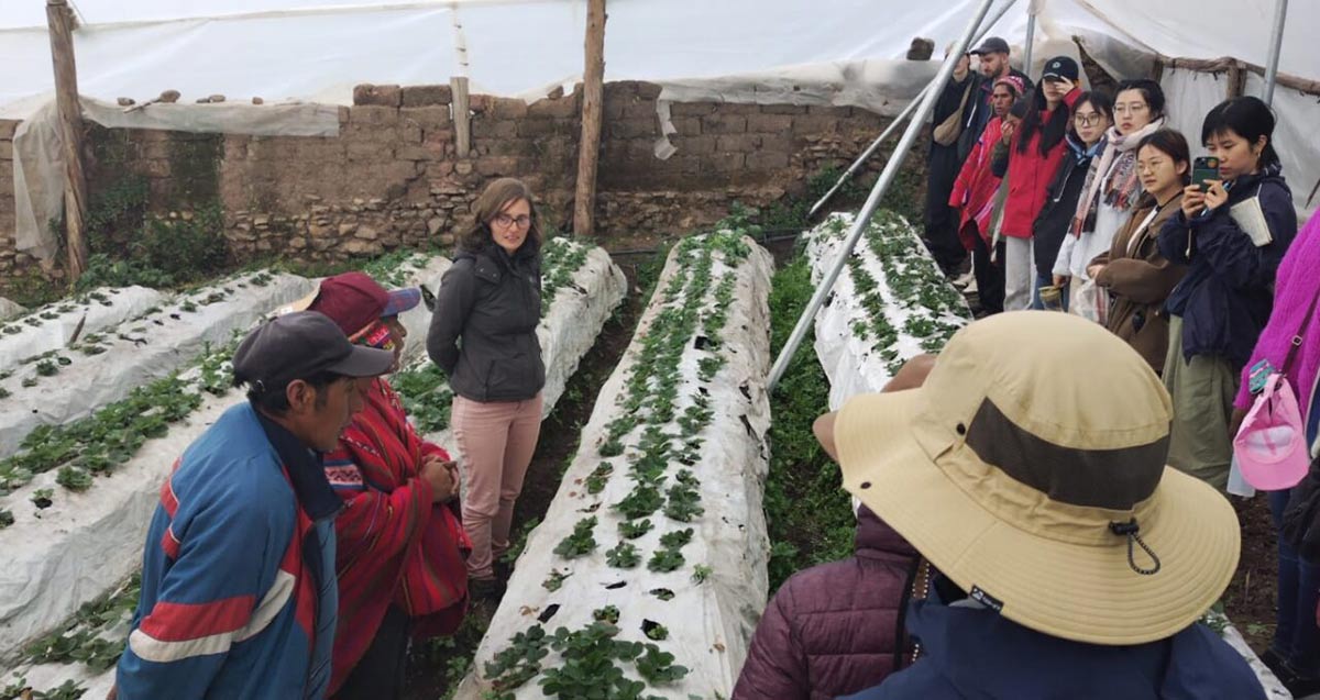 Greenhouse Sacred Valley University Of Edinburgh Group Travel Peru