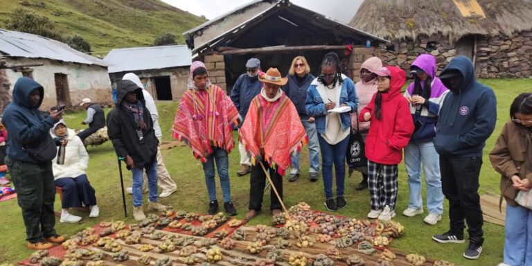 Produce And Locals University Of Edinburgh Group Travel Peru