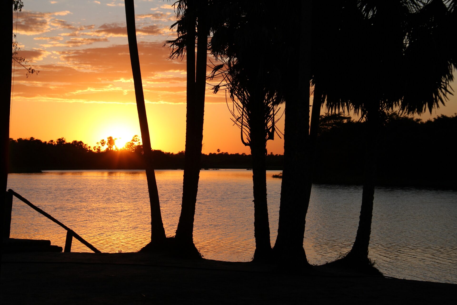 Sunset In Pantanal Paraguay