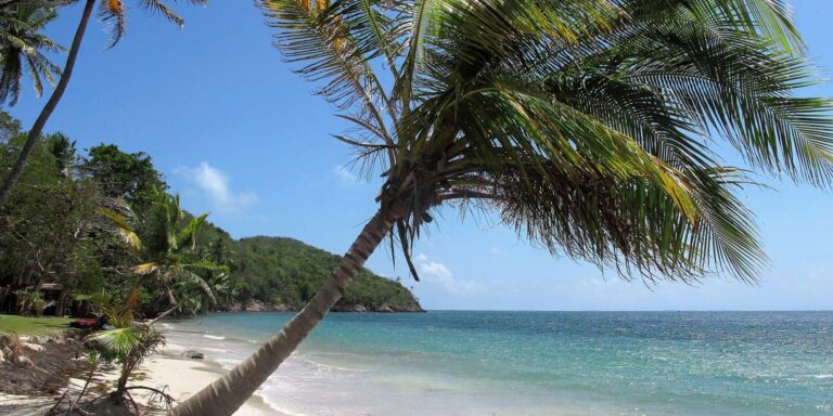 Manzanillo Beach