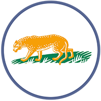 Icon Amazon