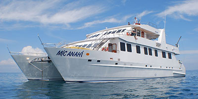 Anahi Yacht Galapagos