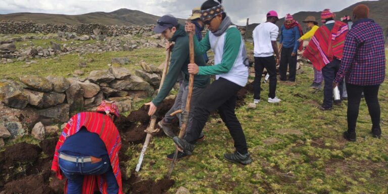Cutting Sods University Of Edinburgh Group Travel Peru