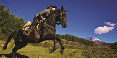 horse riding holidays south america