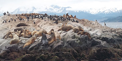 winter tour patagonia