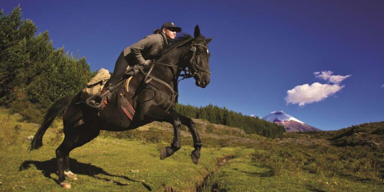 Jumping Horse Rider Ecuador