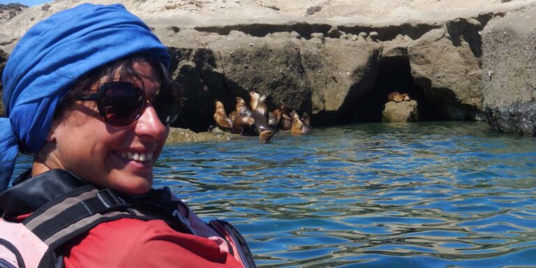 Kayak With Sea Lion Colony Peninsula Valdes Argentina