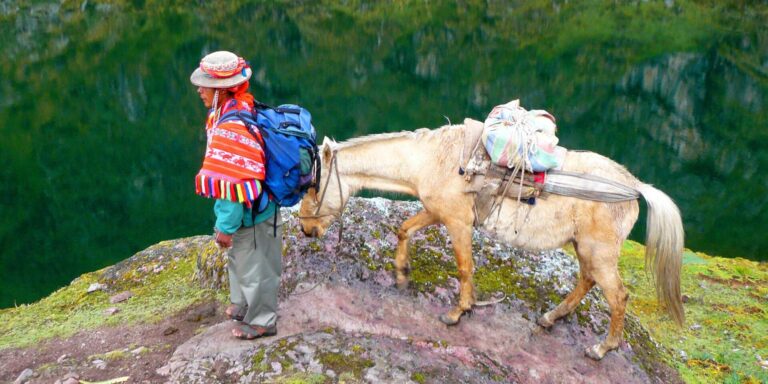Lares Lodges Trek Pack Horse Peru