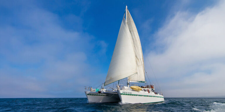 Nemo 2 Sailing Galapagos