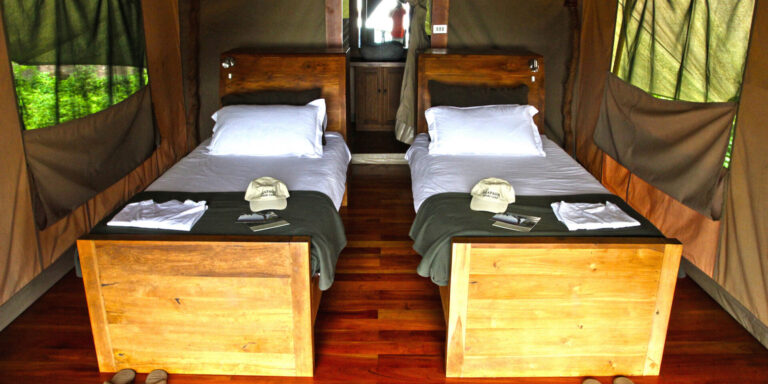 Safari Camp Bedroom Galapagos