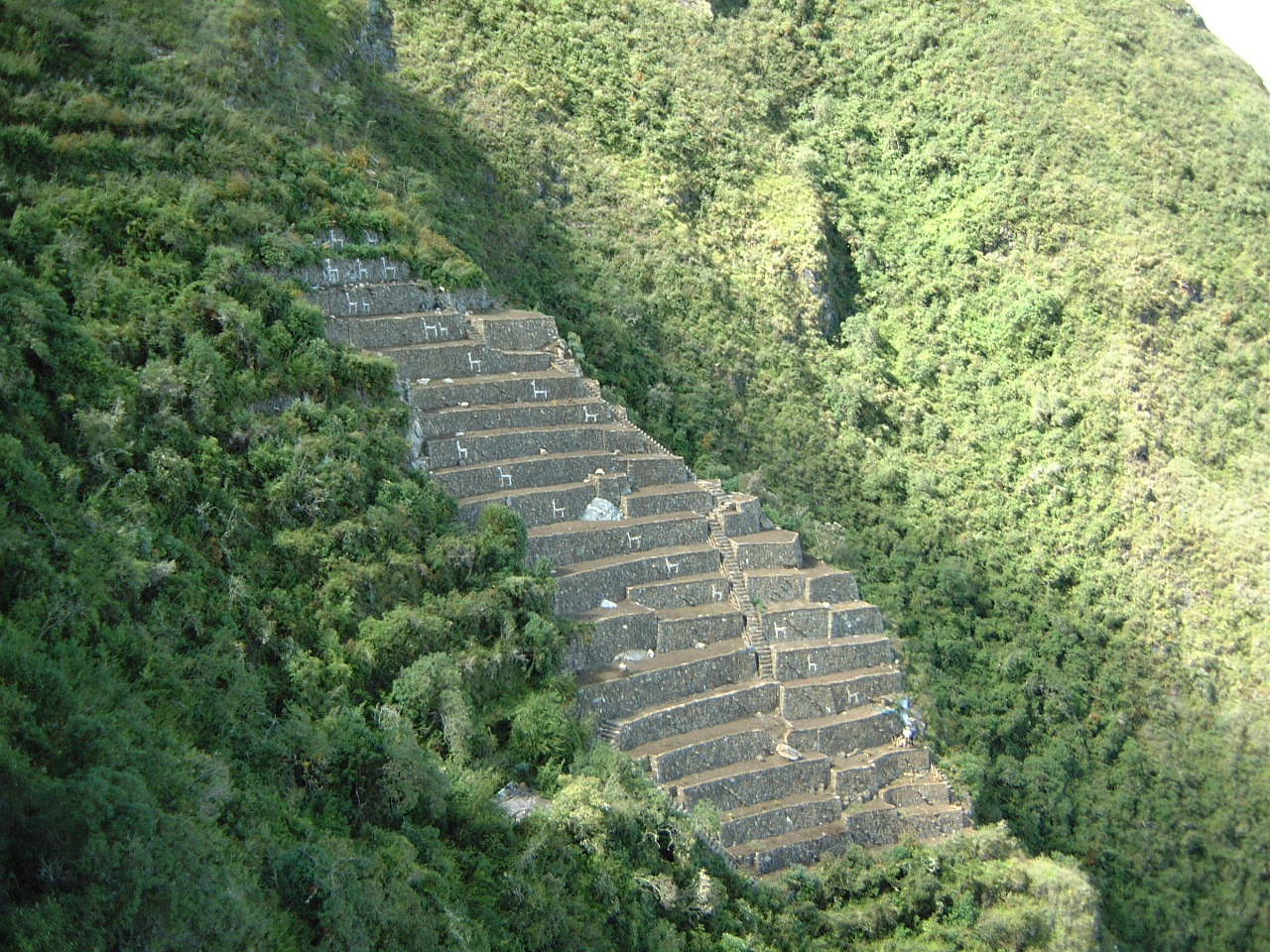 Choquequirao Terrace Peru