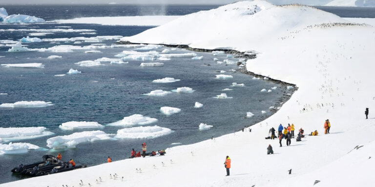 Cuverville Landing Polar Latitudes Antarctica