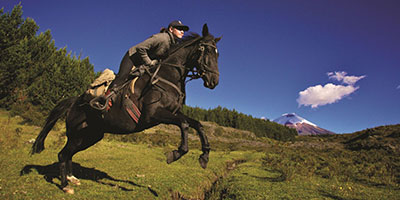 Horse Riding Ecuador