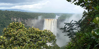 Wildlife Guyana Bird Watching Tours