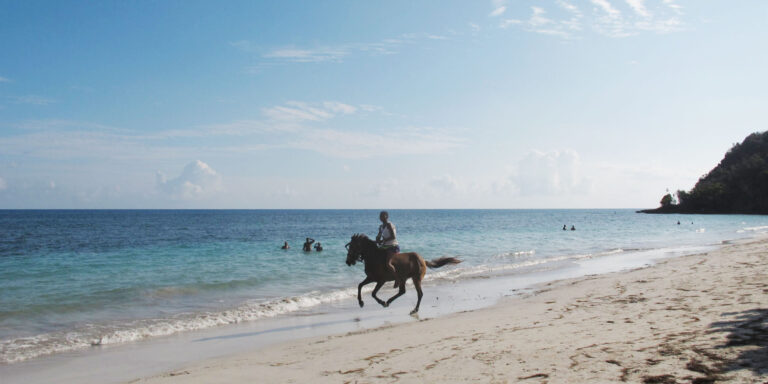 Horse Racing On Manzanillo Providencia Colombia