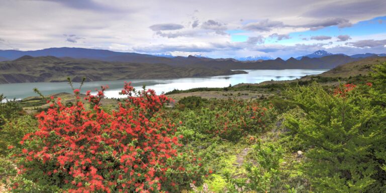 Lago Nordenskjold Torres Del Paine National Park Patagonia Chile