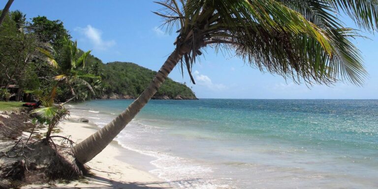 Manzanillo Beach