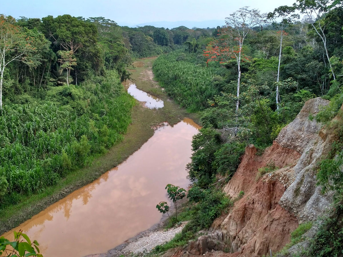 TRC viewpoint over Collpa Peru