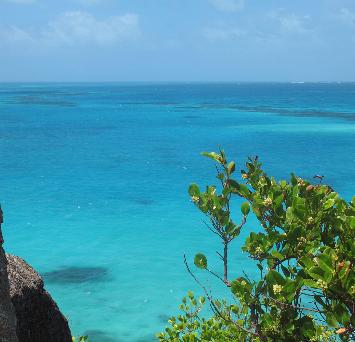 The Reef Landscape Providencia Colombia