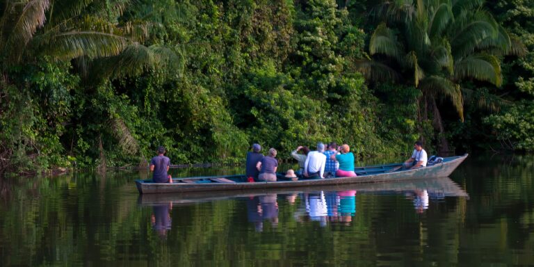 Canoe Ride Sandoval Lake Amazon Peru