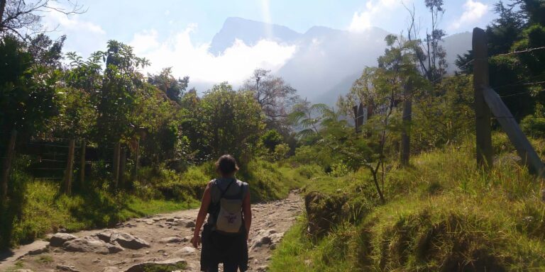 Cocora Trek Colombia