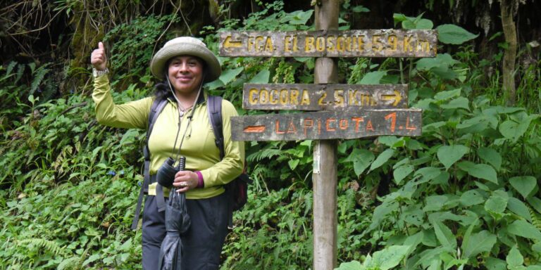 Cocora Trekking Julia Colombia