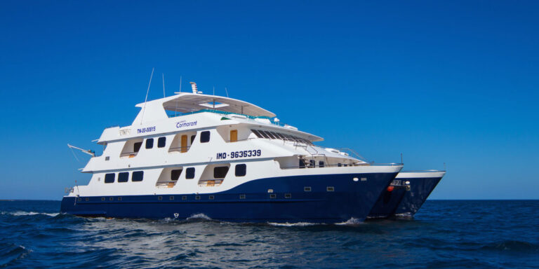 Cormorant Yacht Galapagos