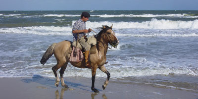 Horse Riding On Beach Uruguay