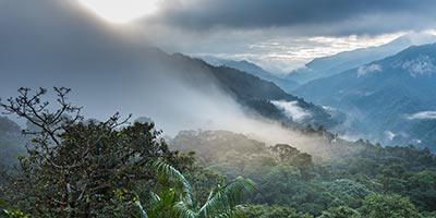 Santa Lucia Cloudforest Lodge Ecuador