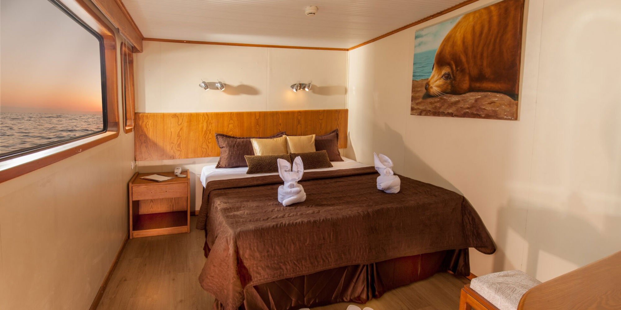 Galaxy Yacht Double Bedded Cabin Galapagos