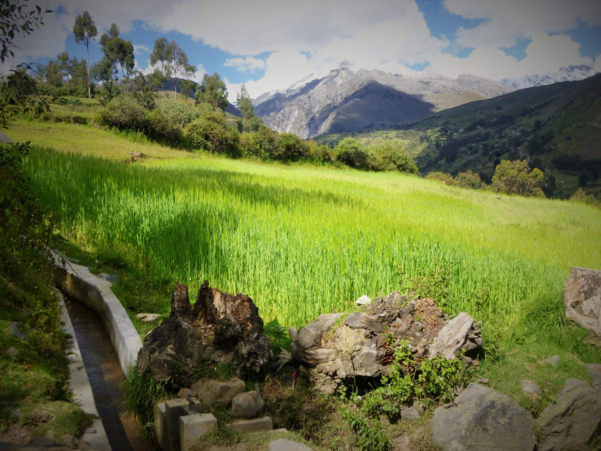 Huaraz Fields Peru