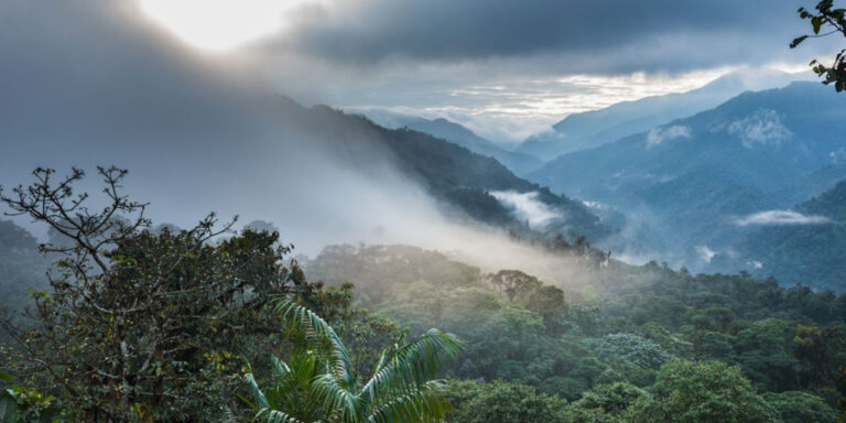 Santa Lucia Cloudforest Lodge Ecuador
