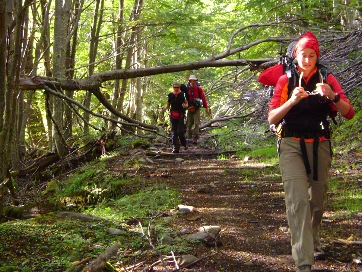 Woodland Montes Martial Trek Ushuaia Tierra Del Fuego Argentina Patagonia