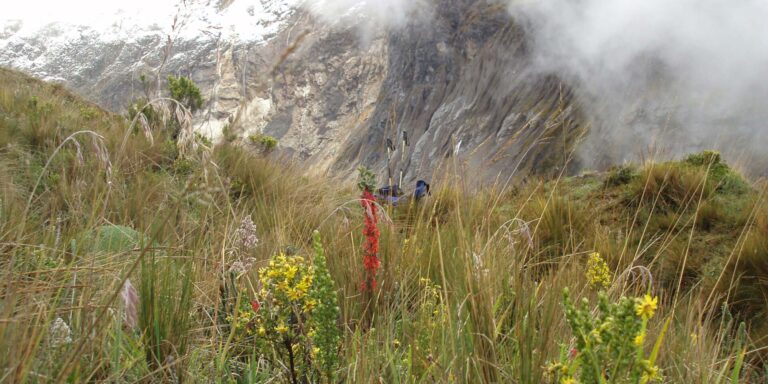 Abraspungo Trek And Flowers Ecuador