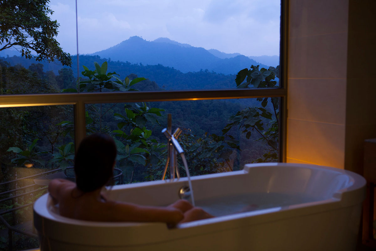Bathroom With View Mashpi Lodge Ecuador