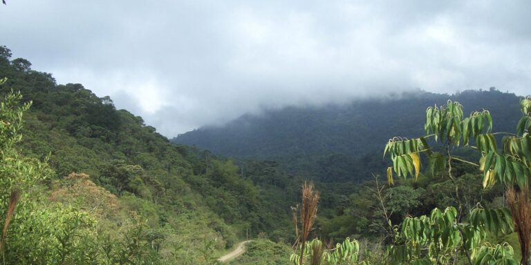 Maquipucuna Views Ecuador