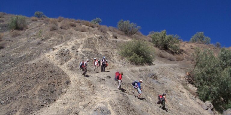 Trekking Out Abra Del Sauce Day 6 Salta Argentina