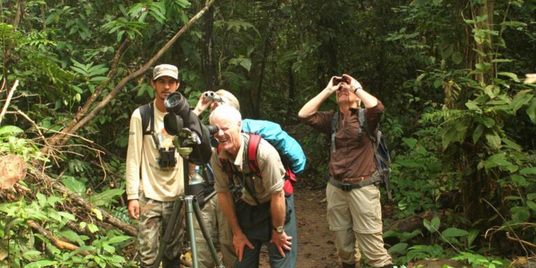amazon wildlife watching