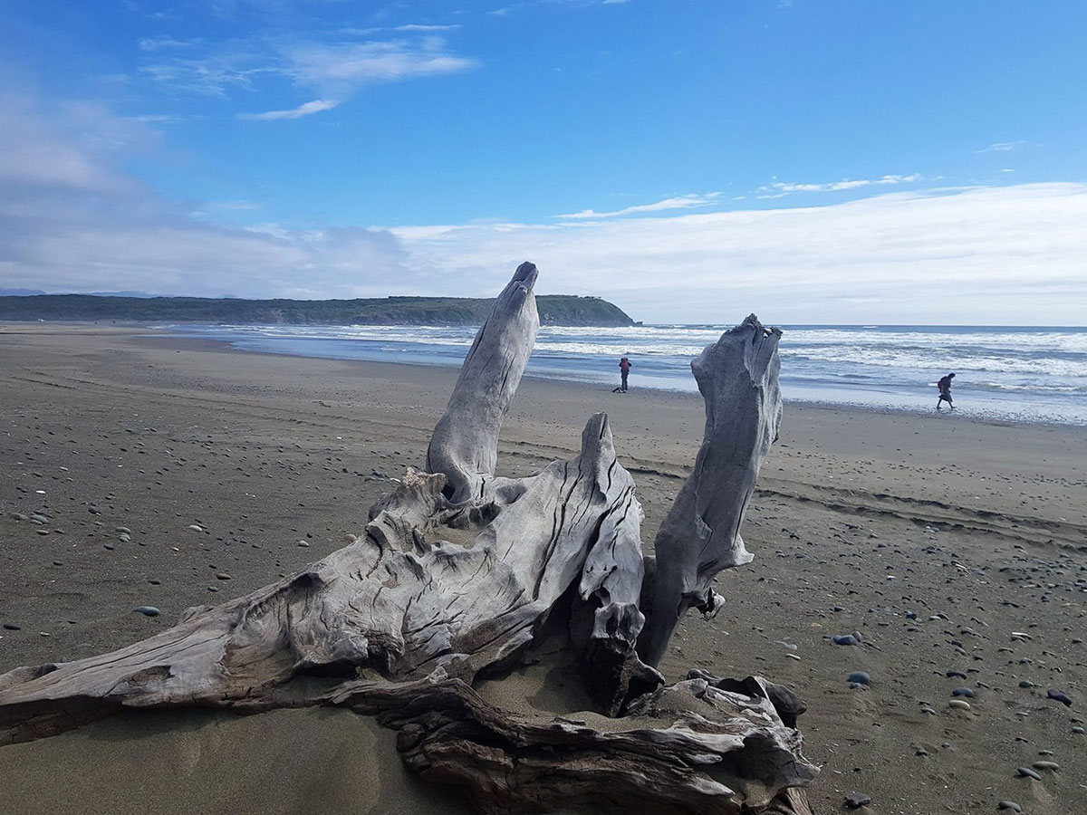 Beach On Duhatao To Chepu Trek Chiloe Chile