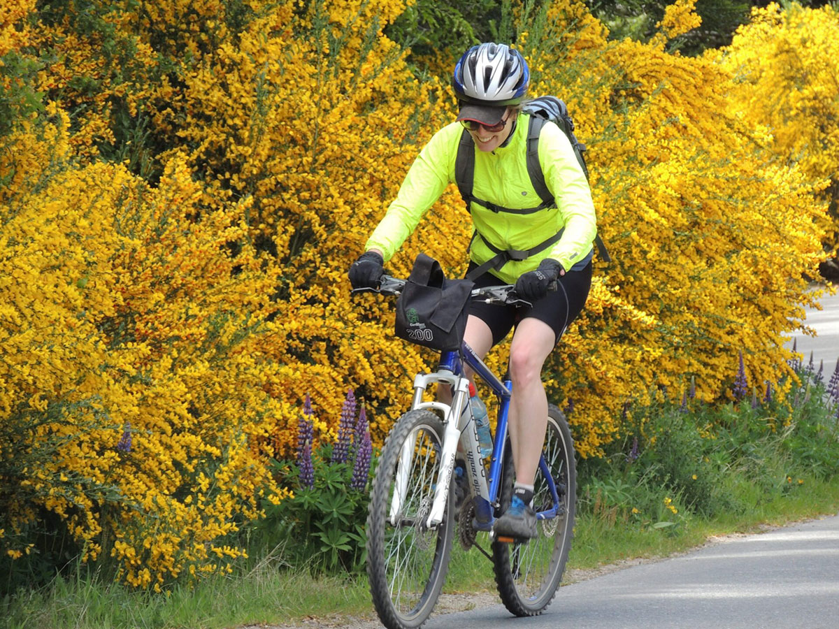 Bike Cyclist Bariloche Tree Argentina