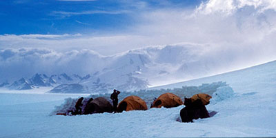 camp on south patagonian ice field patagonia