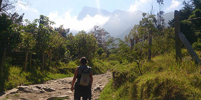 cocora trek colombia