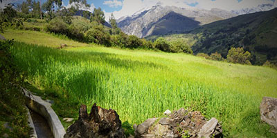 Huaraz Fields Peru